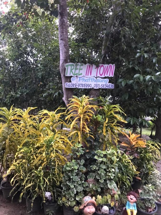 Tree In Town ทรีอินทาวน์ Villa Phatthalung Dış mekan fotoğraf